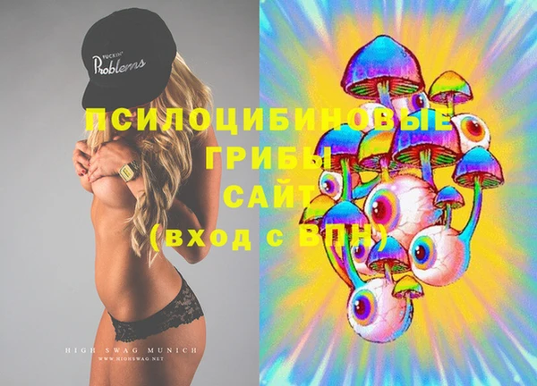 бошки Горняк