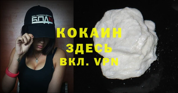 бошки Горняк