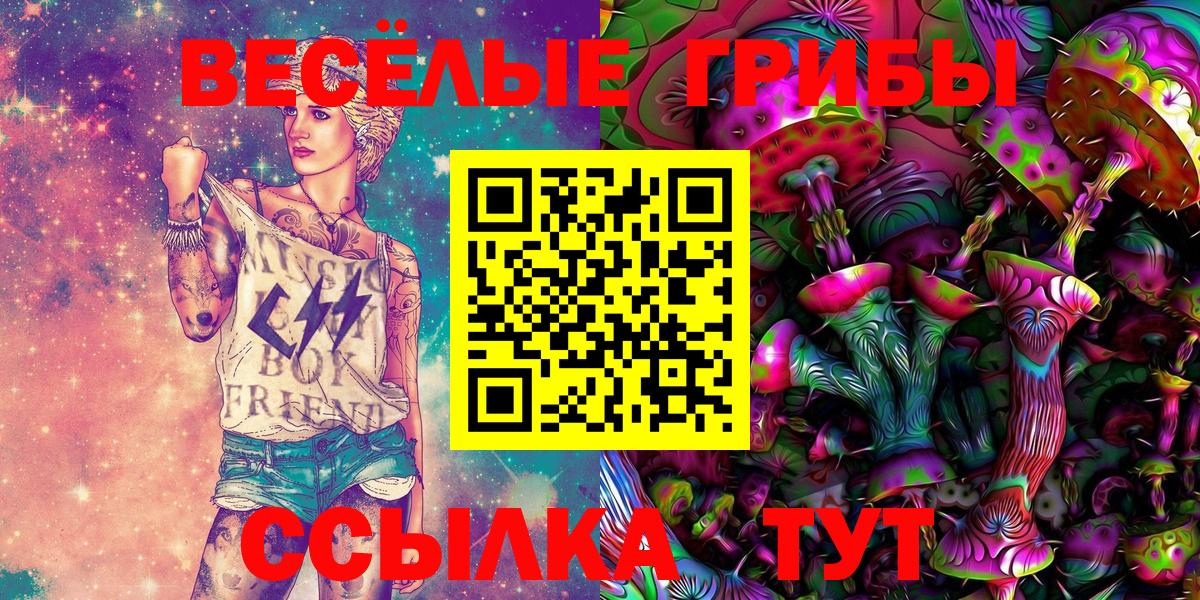 Псилоцибиновые грибы ЛСД  Вход с VPN  купить наркотики цена  Галлюциногенные грибы ЛСД  Донецк 