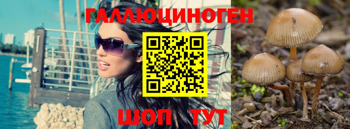 ГАШИШ  COCAIN  Меф МЯУ МЯУ кристаллы  ЭКСТАЗИ  МДМА  МАРИХУАНА  Донецк  Кодеин  Вход с VPN  A-PVP СОЛЬ  